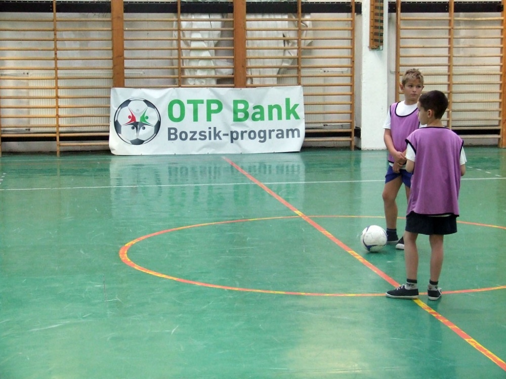 Bozsik program